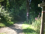 dscn0790.jpg