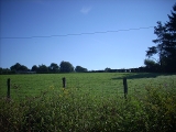 dscn0799.jpg