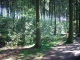 dscn0817.jpg
