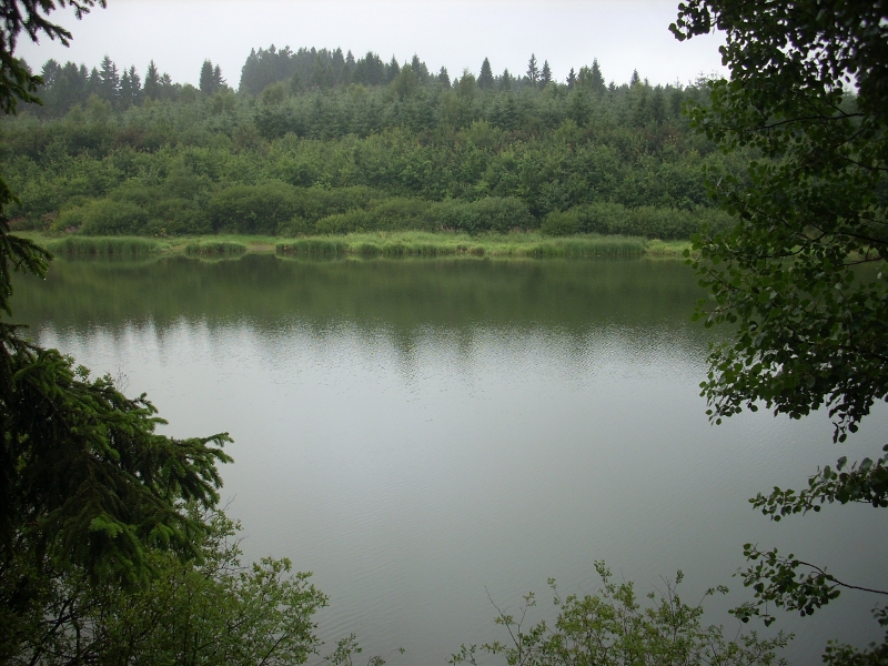 dscn0108.jpg