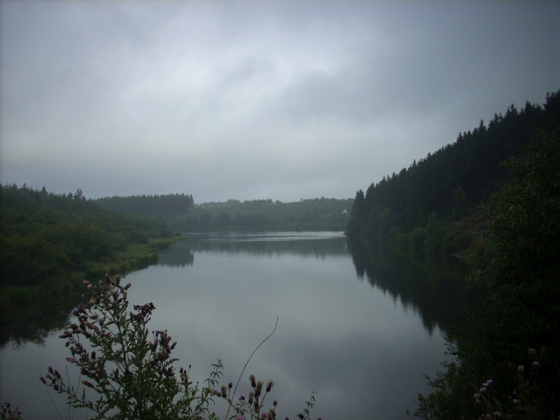 dscn0115.jpg