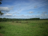 dscn0098.jpg