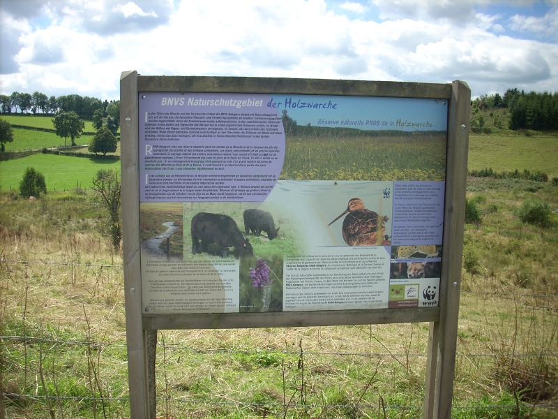 dscn0149.jpg