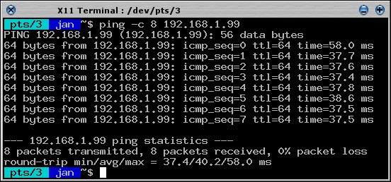 xterm ping